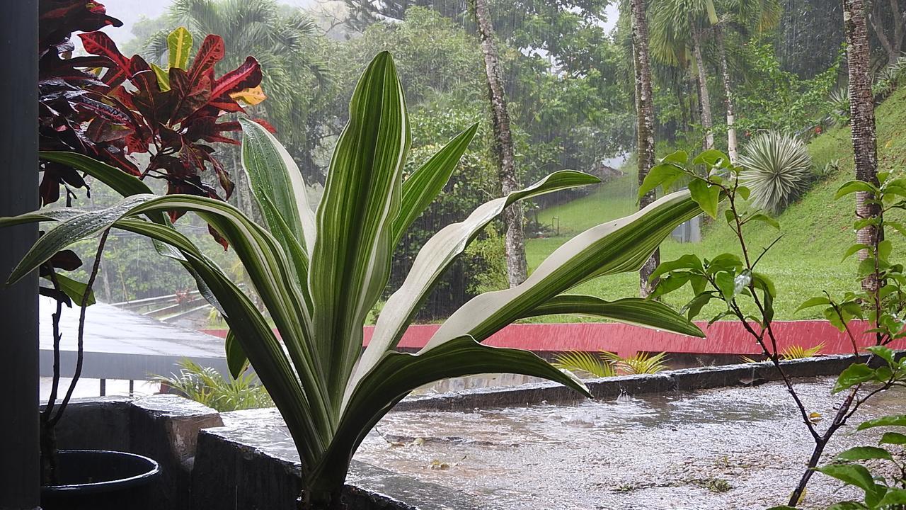 Monique'S Guest House Maraval Ngoại thất bức ảnh